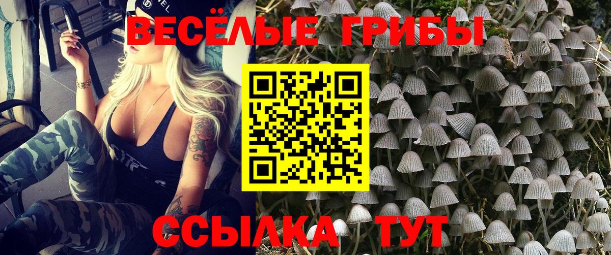 Псилоцибиновые грибы мухоморы  Вход с VPN  Нововоронеж  Галлюциногенные грибы прущие грибы 