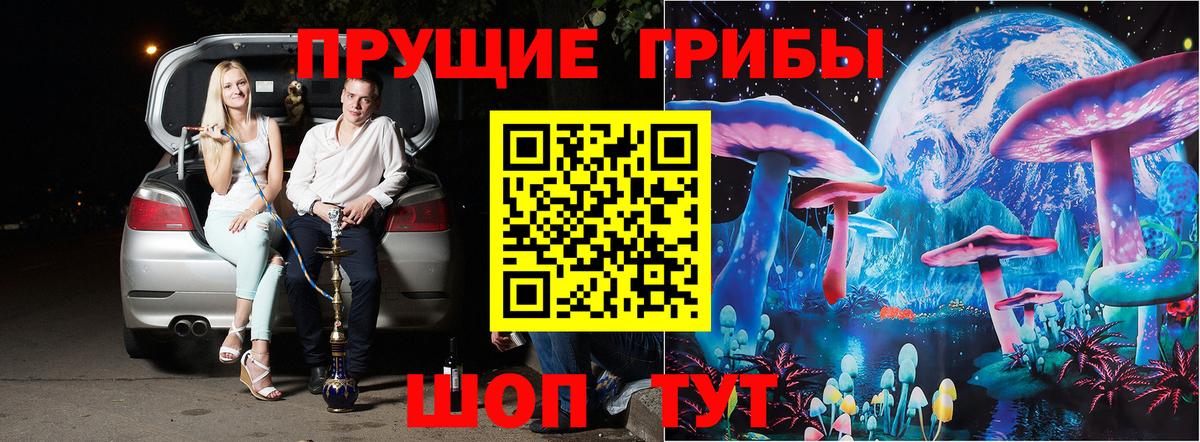 Галлюциногенные грибы мухоморы Нововоронеж
